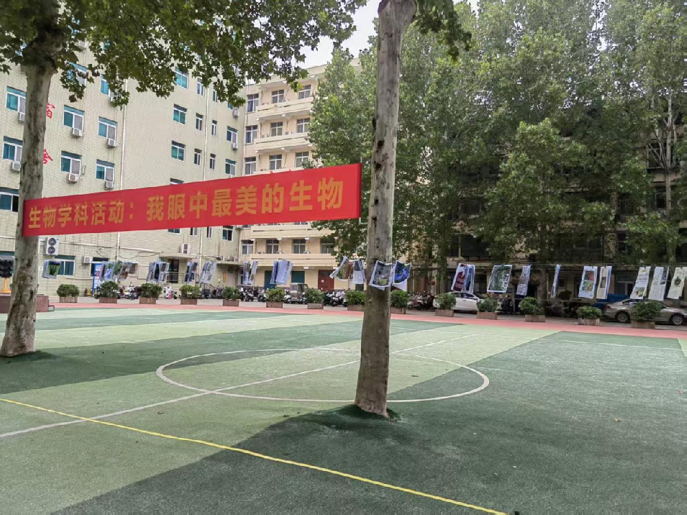 探寻生命之美 感悟自然奇趣——我校“我眼中最美的生物”学科活动圆满落幕